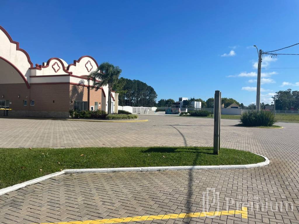 terreno — Arroio Teixeira — foto 1 de 6